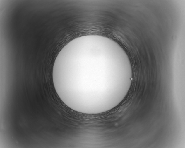 X0000088881298200706080733