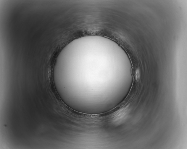 X0000088881299200706080733