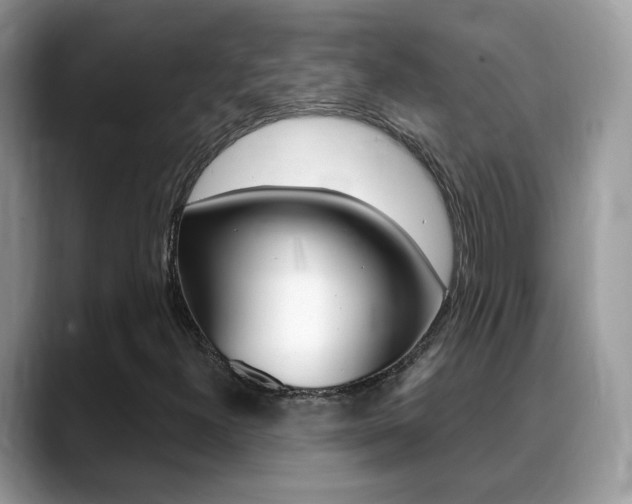 X0000088881300200706080733