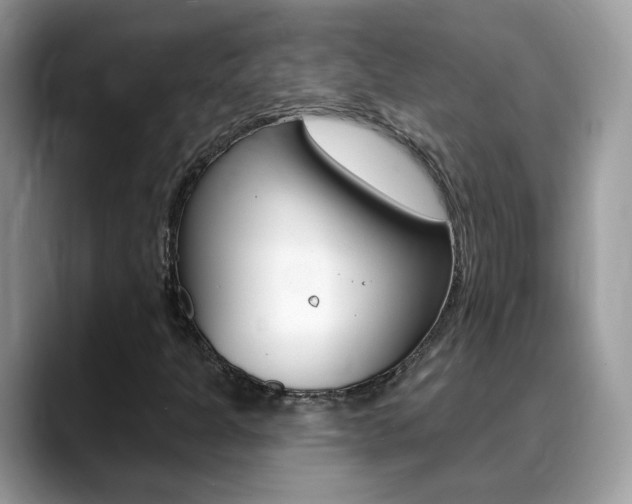 X0000088881301200706080733