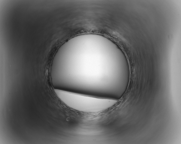 X0000088881302200706080733