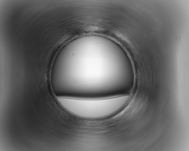 X0000088881305200706080733
