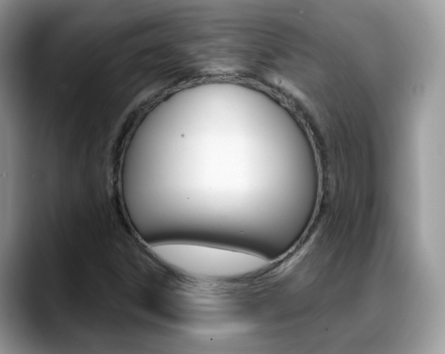 X0000088881306200706080733