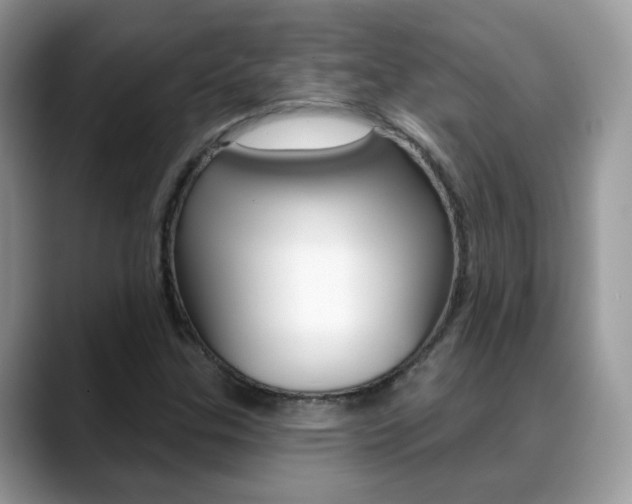 X0000088881307200706080733