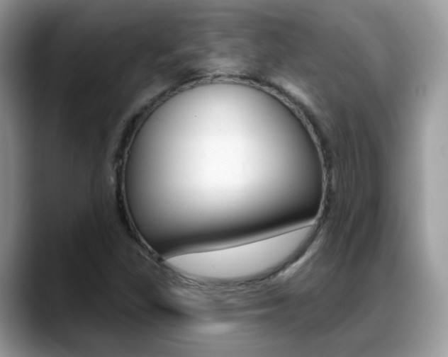 X0000088881309200706080733