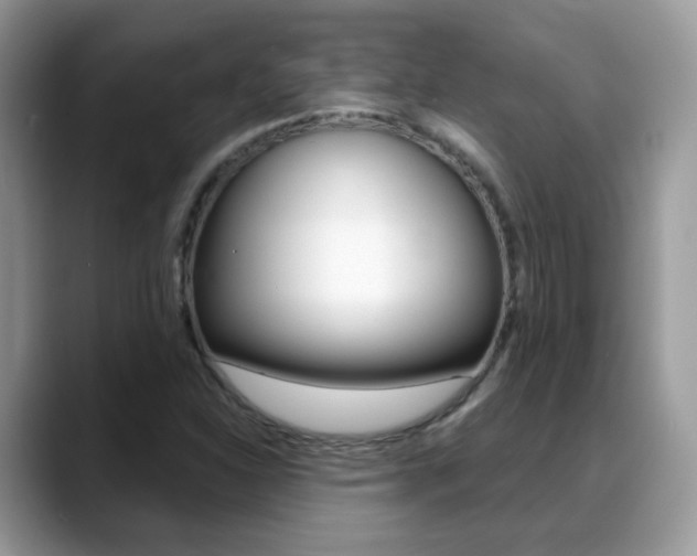 X0000088881310200706080733