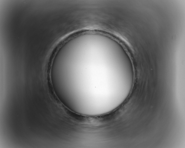 X0000088881311200706080733
