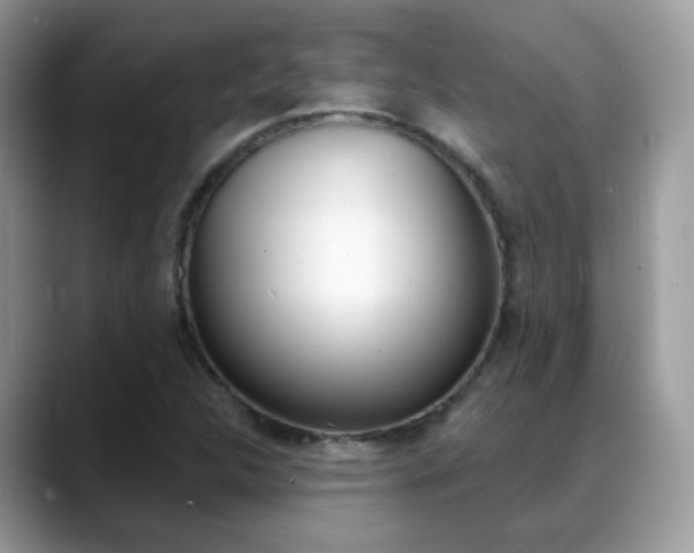 X0000088881312200706080733