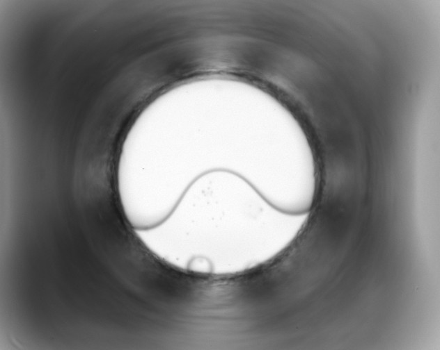 X0000088881314200706080733