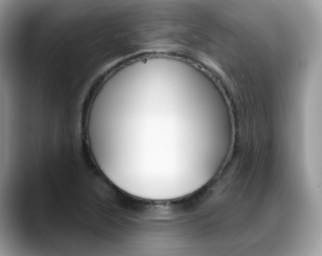 X0000088881315200706080733