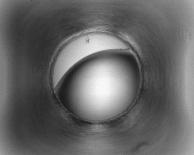 X0000088881316200706080733