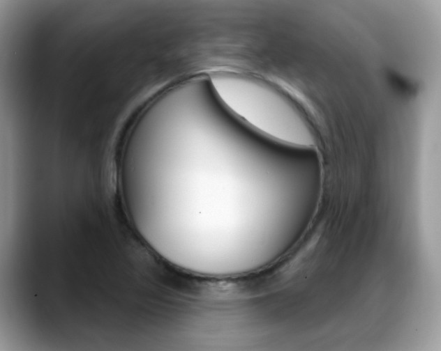 X0000088881317200706080733