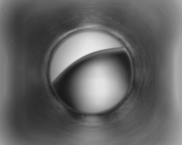 X0000088881319200706080733