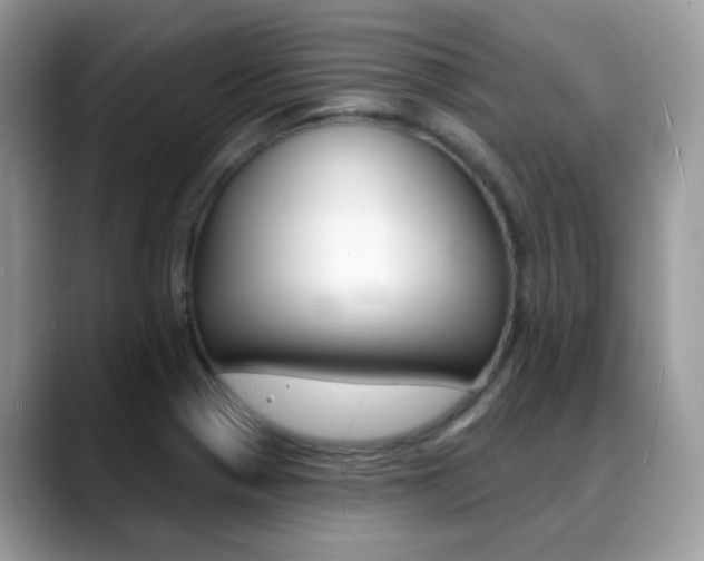 X0000088881321200706080733