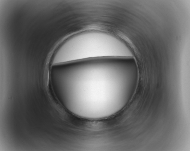 X0000088881323200706080733