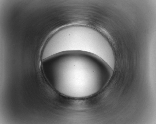 X0000088881324200706080733