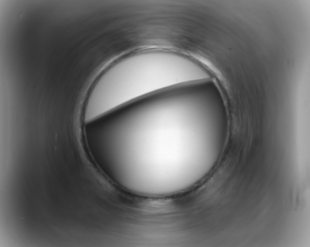 X0000088881325200706080733