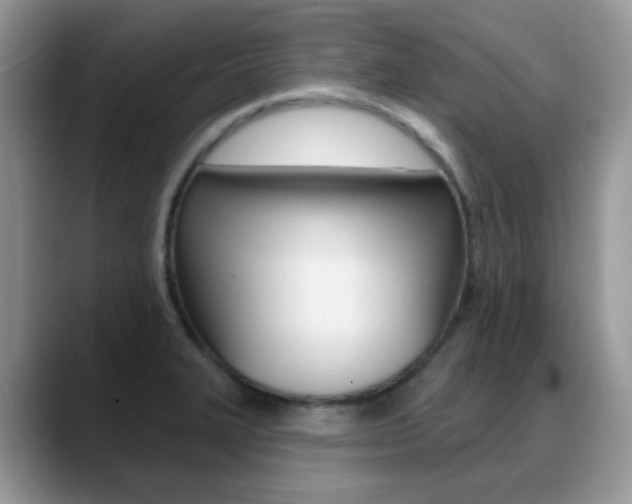 X0000088881327200706080733