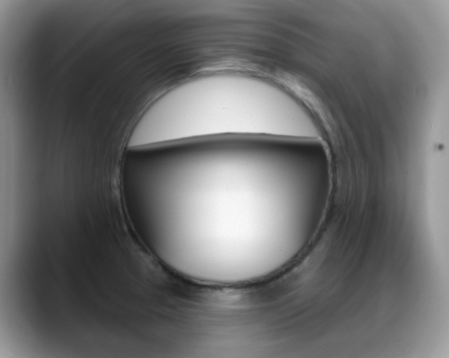 X0000088881329200706080733