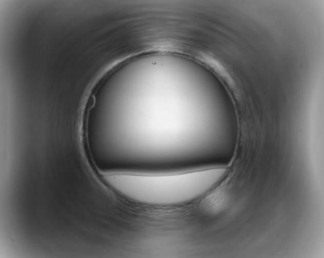 X0000088881331200706080733