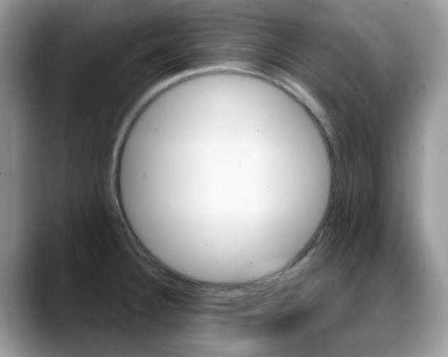 X0000088881332200706080733