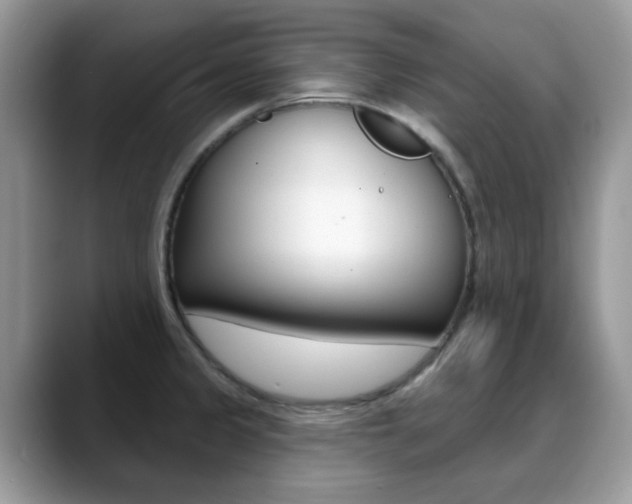X0000088881333200706080733