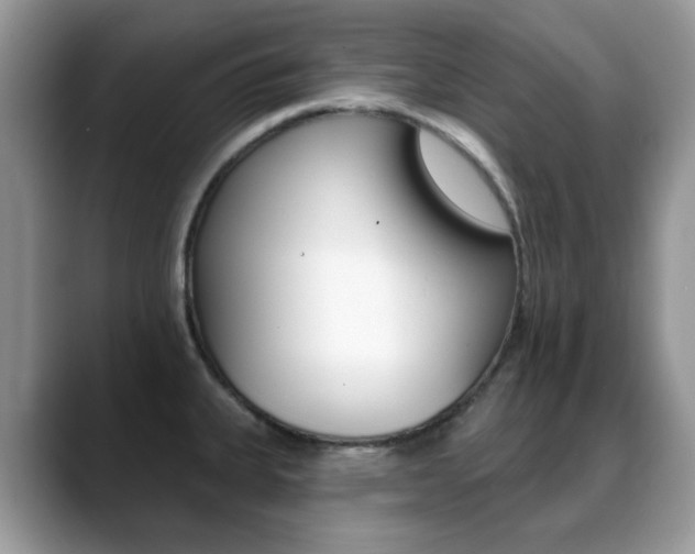 X0000088881335200706080733