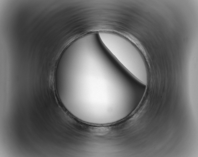 X0000088881337200706080733