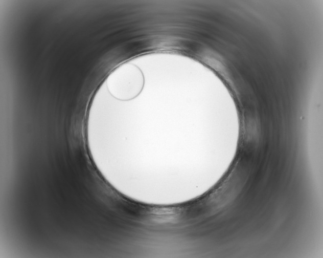 X0000088881338200706080733