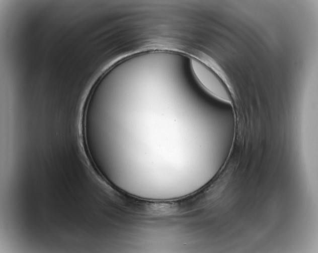 X0000088881339200706080733