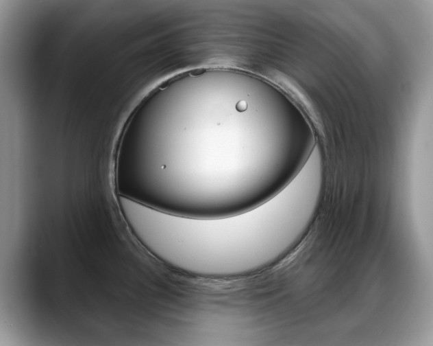 X0000088881340200706080733