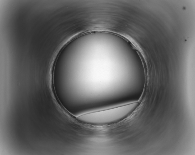 X0000088881341200706080733