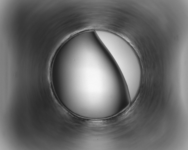X0000088881342200706080733