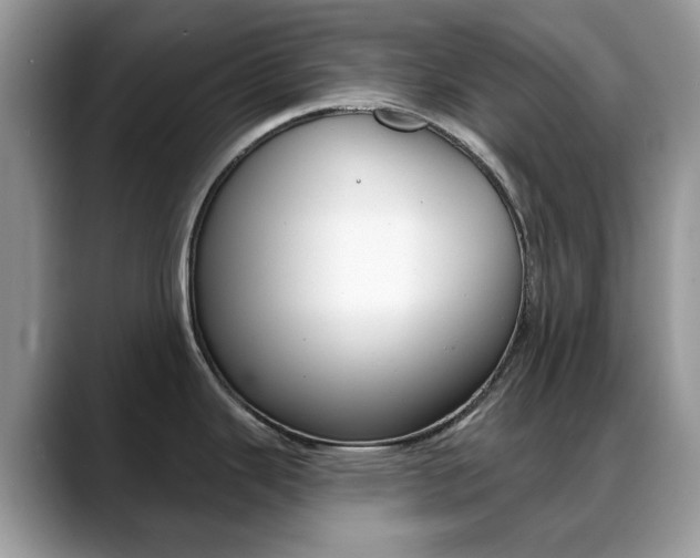 X0000088881343200706080733