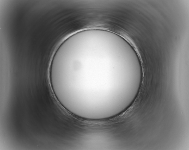 X0000088881344200706080733