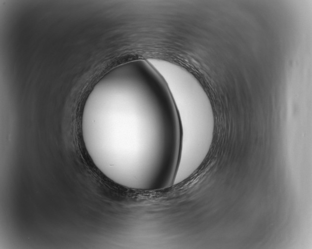 X0000088881345200706080733
