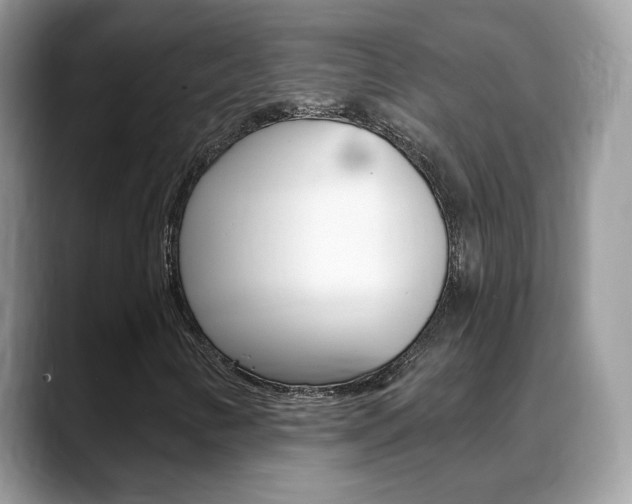 X0000088881346200706080733