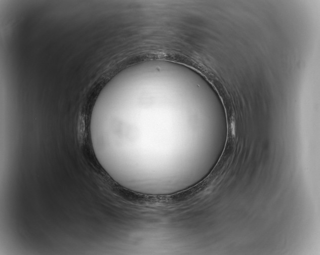 X0000088881347200706080733