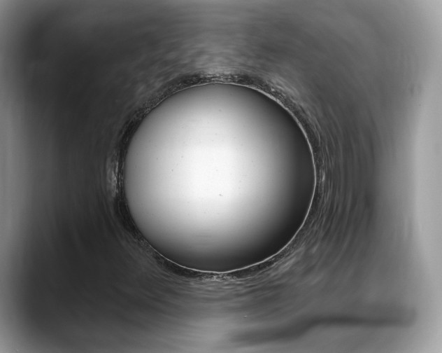 X0000088881348200706080733