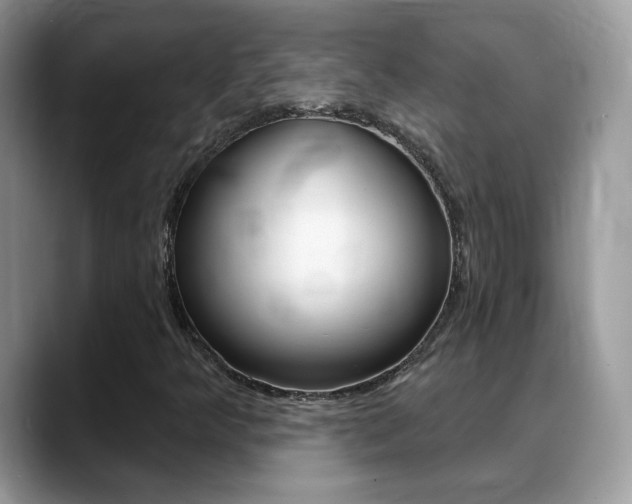 X0000088881349200706080733