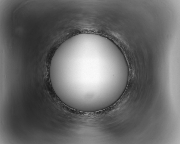 X0000088881350200706080733