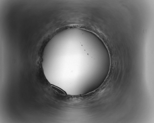 X0000088881351200706080733