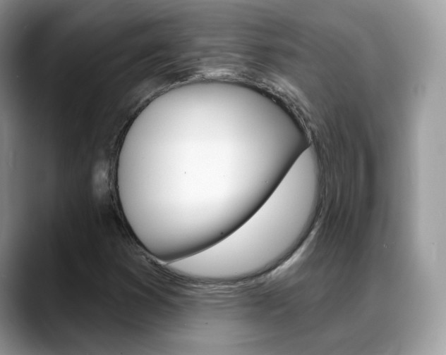 X0000088881353200706080733