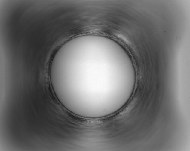 X0000088881354200706080733