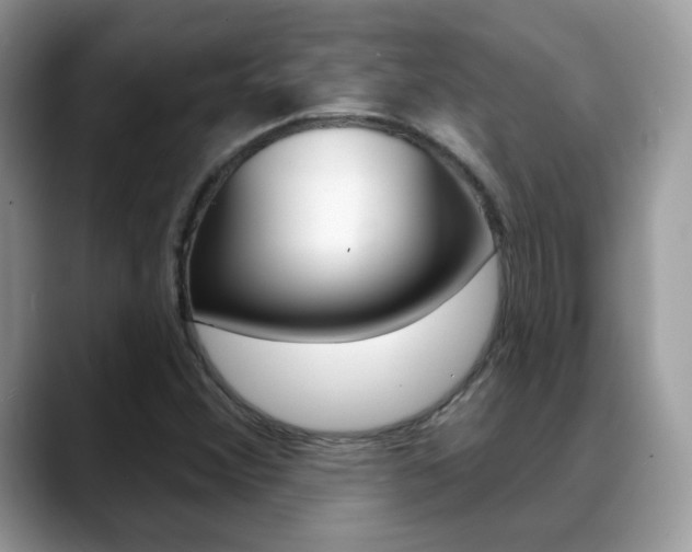 X0000088881356200706080733