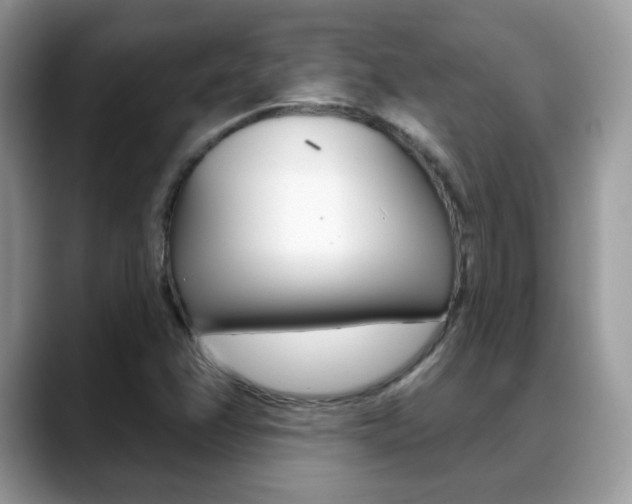 X0000088881358200706080732