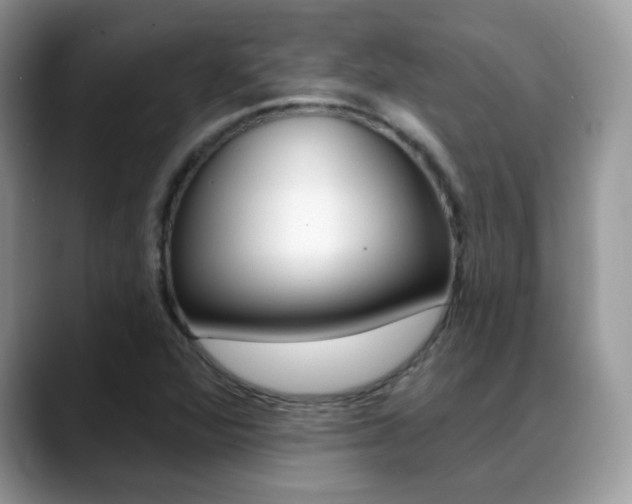 X0000088881360200706080732