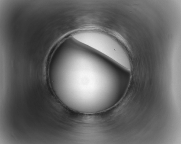 X0000088881364200706080732