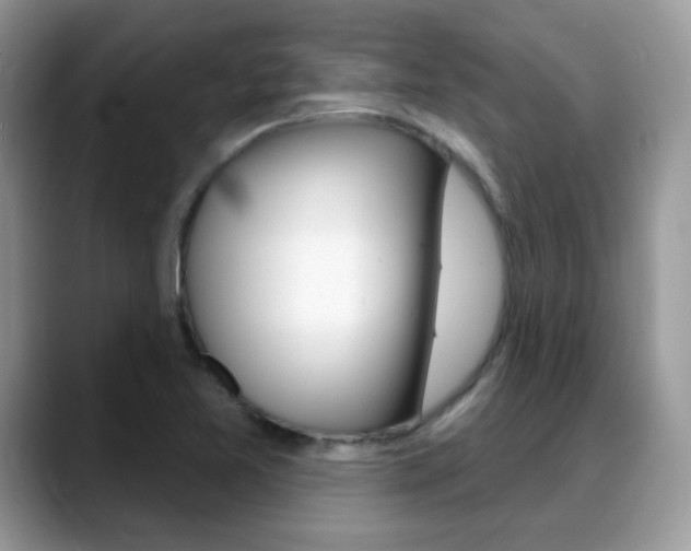 X0000088881365200706080732