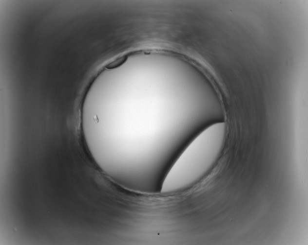X0000088881366200706080732